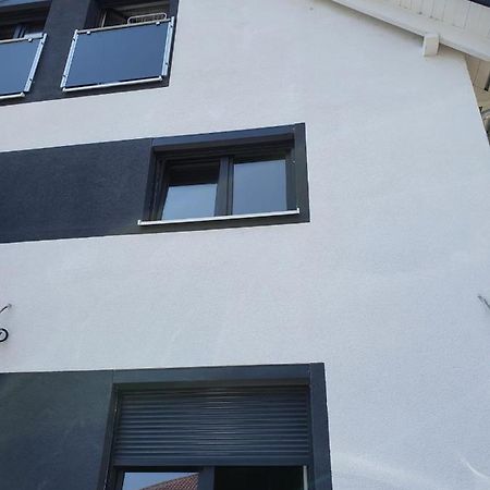 Bodensee Manolya Friedrichshafen Dış mekan fotoğraf